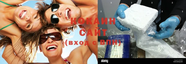 дживик Баксан