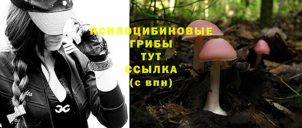 дживик Баксан
