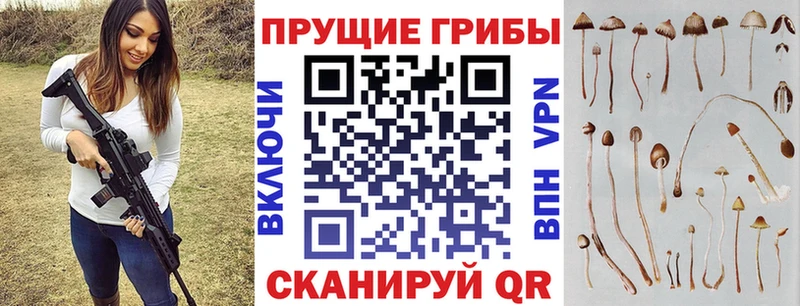 Галлюциногенные грибы мухоморы  Купить  Котельнич 